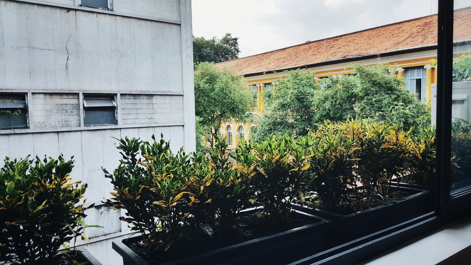 Vy Da Backpackers Hostel Ho Chi Minh-byen Eksteriør bilde